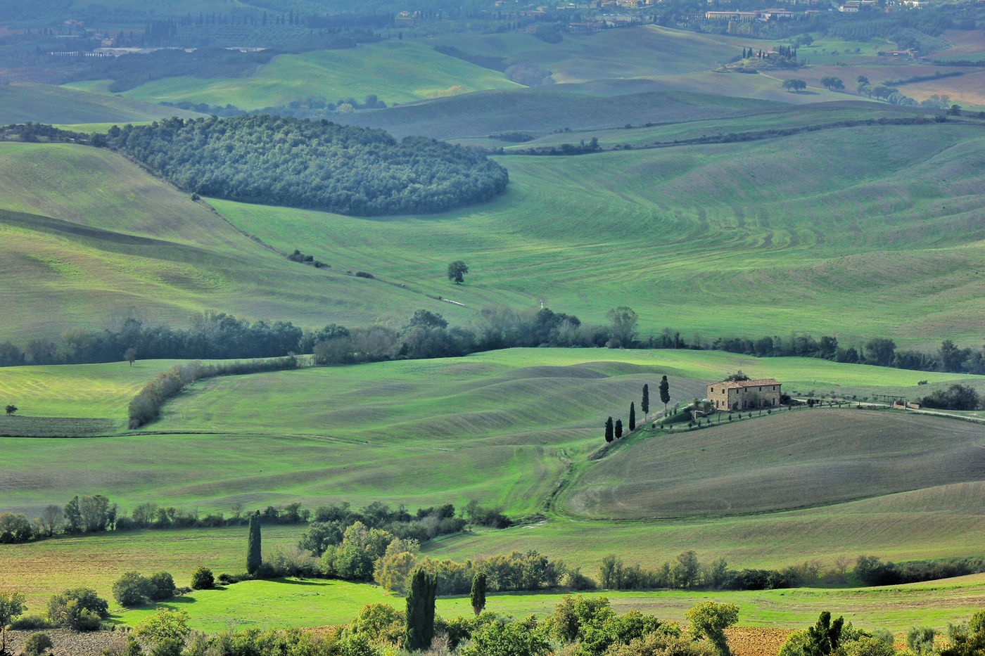 Tuscany For Collectors